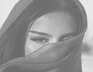 The Rise of Modern Arab Models